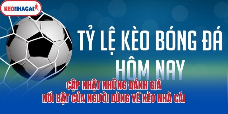 cap nhat nhung danh gia noi bat cua nguoi dung ve keo nha cai Cập nhật những đánh giá nổi bật của người dùng về Kèo nhà cái