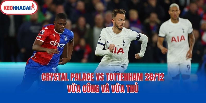Crystal Palace vs Tottenham 28/12 - Vừa công và vừa thủ