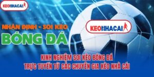 Kinh Nghiệm Soi Kèo Bóng Đá Trực Tuyến Từ Các Chuyên Gia 