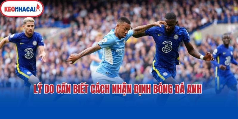 ly do can biet cach nhan dinh bong da anh Lý do cần biết cách nhận định bóng đá Anh