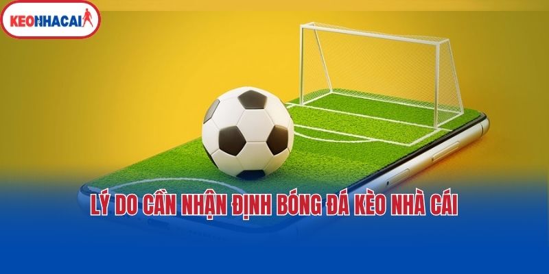 ly do can nhan dinh bong da keo nha cai Lý do cần nhận định bóng đá kèo nhà cái