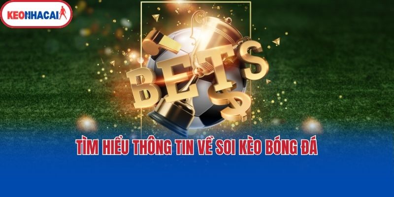 Tìm hiểu thông tin về soi kèo bóng đá