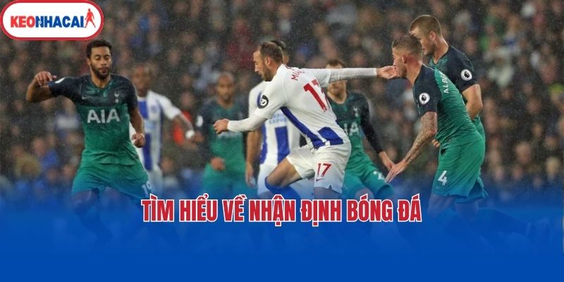 tim hieu ve nhan dinh bong da Tìm hiểu về nhận định bóng đá
