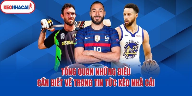 tong quan nhung dieu can biet ve trang tin tuc keo nha cai Tổng quan những điều cần biết về trang tin tức Kèo nhà cái