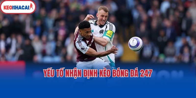 Yếu tố nhận định kèo bóng đá 247